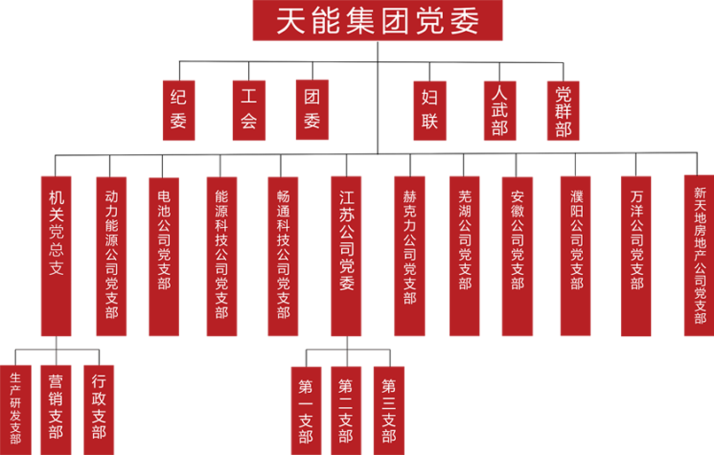 ag旗舰厅网站建团党委组织架构